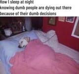 how i sleep dumb people dying 535435