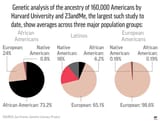 AmericanWhites