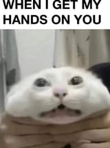 1626262747547