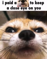 1693963099201