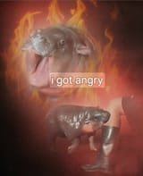 1738982523391779