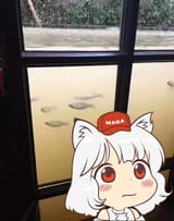 the average awoo in Florida right now