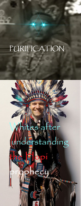 feather Ted K