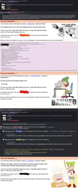 groyper&#039;s-boi-pussy-was-offended-by-awoo