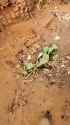 Jeanb Zongo-1929234053074460800-03_thumb.jpg