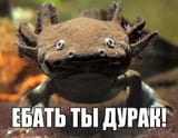 13637152784855