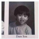 dam_son