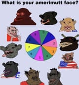 amerimutt-face-roll