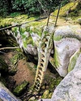 petrified ladder