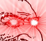 activated oys