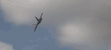 Raptor Skykinging