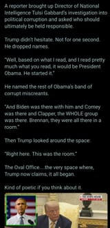 obama treason 6