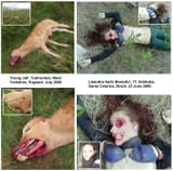 animal-human-comparison1-1536x1516