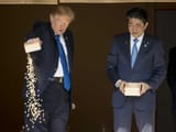 koi-feed