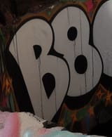 b8