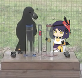 clever girl