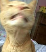 6653375