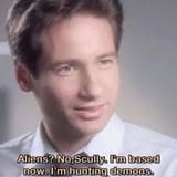 BasedMulder