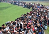 refugee