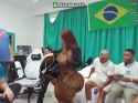 Brazil TV_thumb.jpg