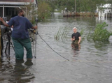 cnn