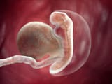 pregnancy-week-1-amniotic-sac_4x3