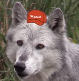 1733873779686