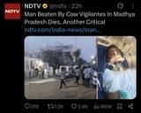 Lol cow fuckers