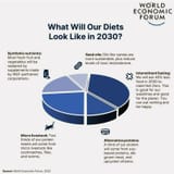 4-world-economic-forum-diets-2030