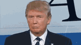 donald-trump-eyebrow-raise[1]
