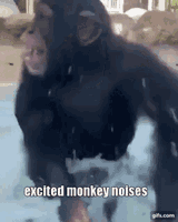 monkey-excited