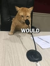 would