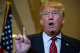 trumpstein WRONG