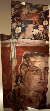 sampul tapestry