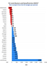 Screenshot 2025-07-23 at 10-36-45 EU budget Who pays the most into the EU and who gains the most Euronews