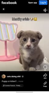 1000003907