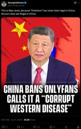 ShanghaiPanda