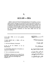 4_Irish_Fatiha