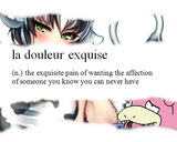 exquisite pain of something you will never get french