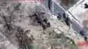 Ukrainian mortar teams struck a concentration of Russian troops in Oleshky, Kherson region. 22-07-2025 HD_thumb.jpg