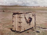 Mongolian_woman_condemned_to_die_of_starvation_(retouched)