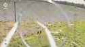 Border Guard drones hit hard on the Northern-Slobozhansky front, the Prime unit of the Ukraines 5th Border Guard Detachment destroyed 23-07-2025 HD_thumb.jpg
