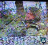 Gwci-6xWQAAlXTB