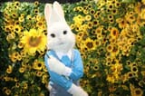 fursuit47