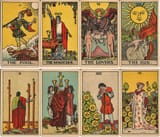 minecrafts_wither_rose_is_tarot_card_the_fool_aim_too_high_get_scortched_earth