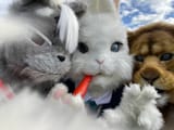 fursuit41