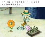 1504035306443