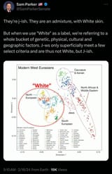 Jews-are-not-White
