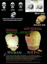 Skull-Shapes