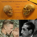 Jewish-Skulls